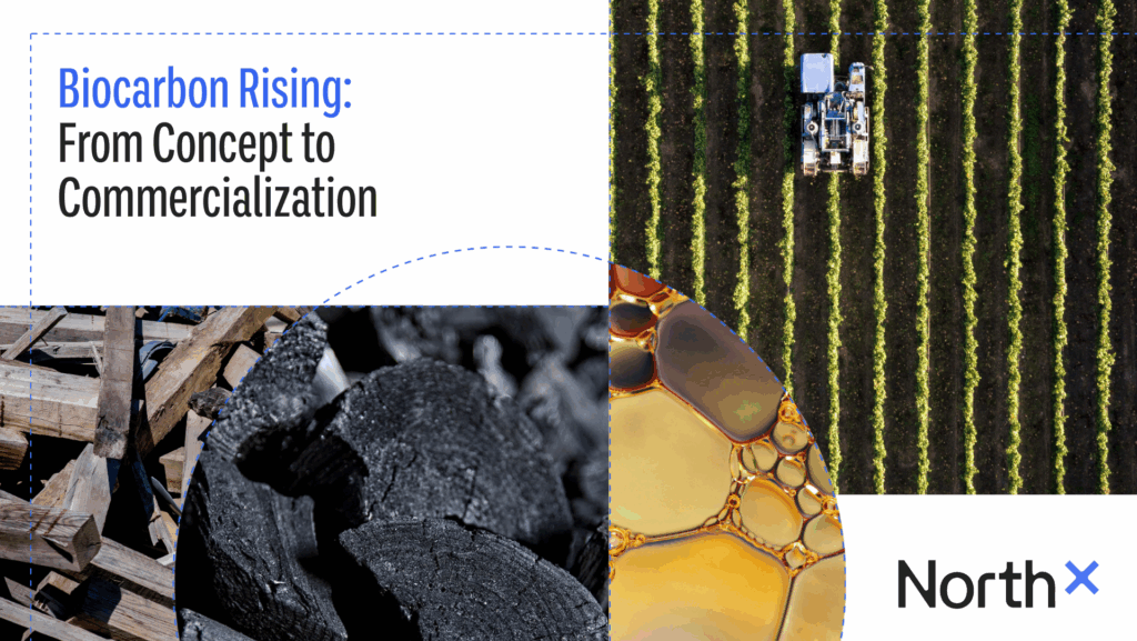 Biocarbon Rising report cover